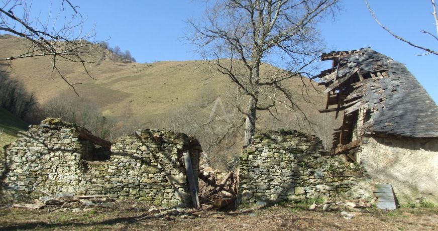 vente Grange Ourdis Cotdoussan