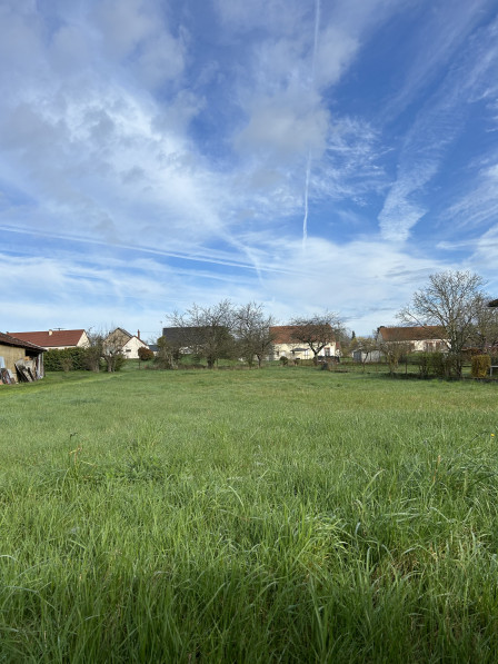 vente Terrain constructible Chatillon Sur Loire