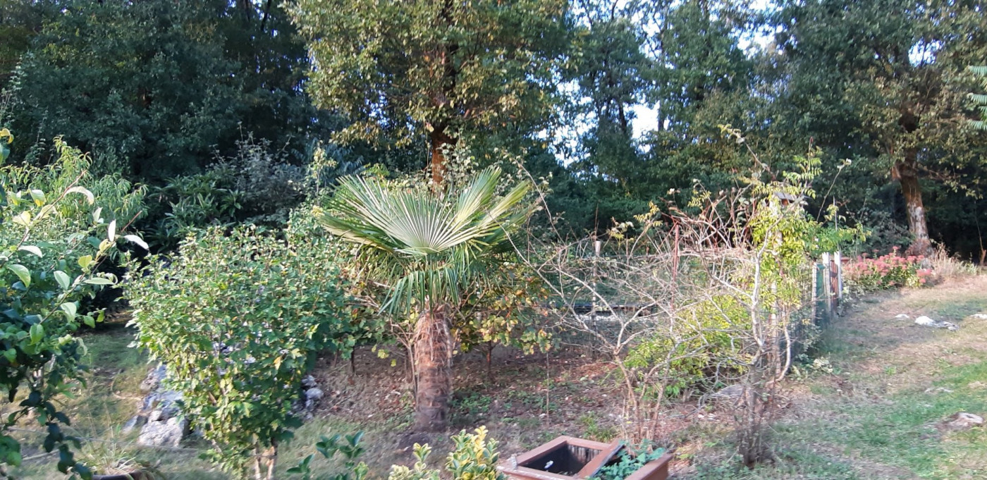 vente Maison Pranzac - Photo 4