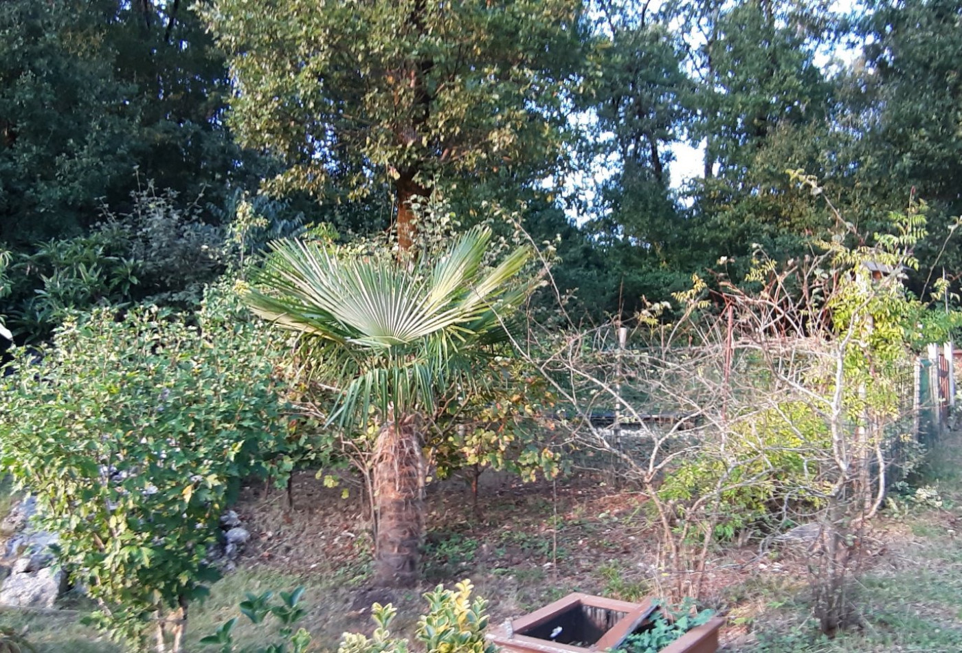 vente Maison Pranzac - Photo 4