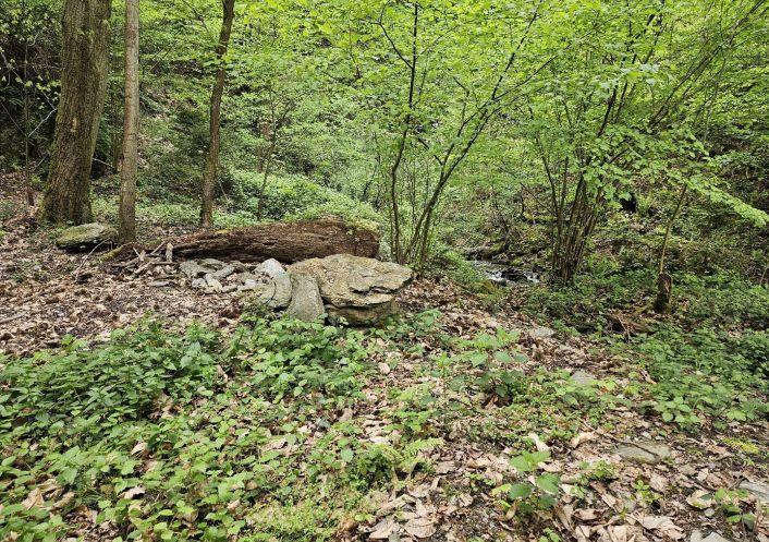 vente Terrain boisé – forêt Saint Paul Sur Isere
