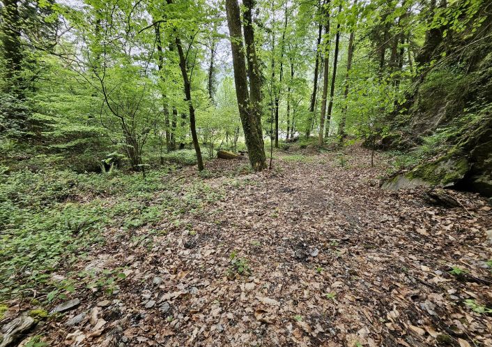 vente Terrain boisé – forêt Saint Paul Sur Isere