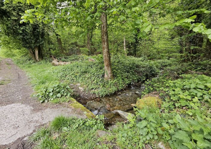 vente Terrain boisé – forêt Saint Paul Sur Isere