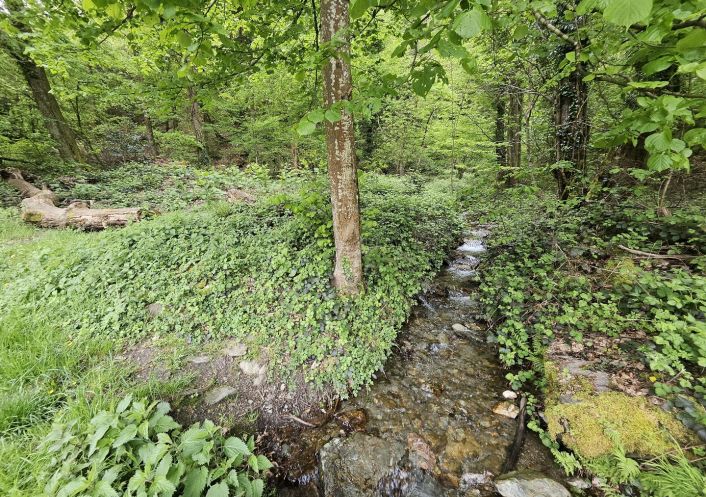 vente Terrain boisé – forêt Saint Paul Sur Isere