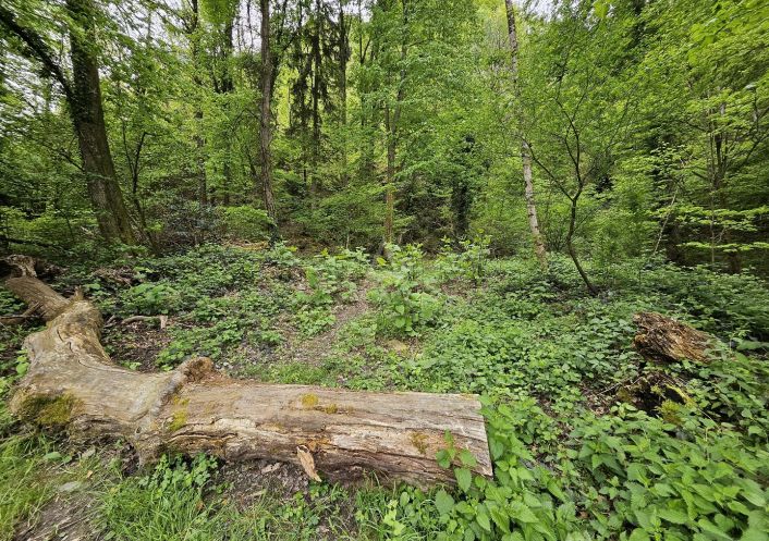 vente Terrain boisé – forêt Saint Paul Sur Isere