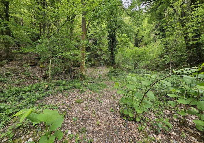 vente Terrain boisé – forêt Saint Paul Sur Isere