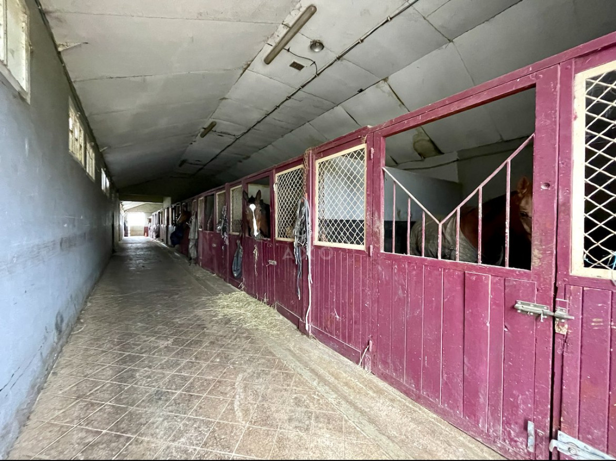 vente Haras / equestre Lisieux - Photo 3