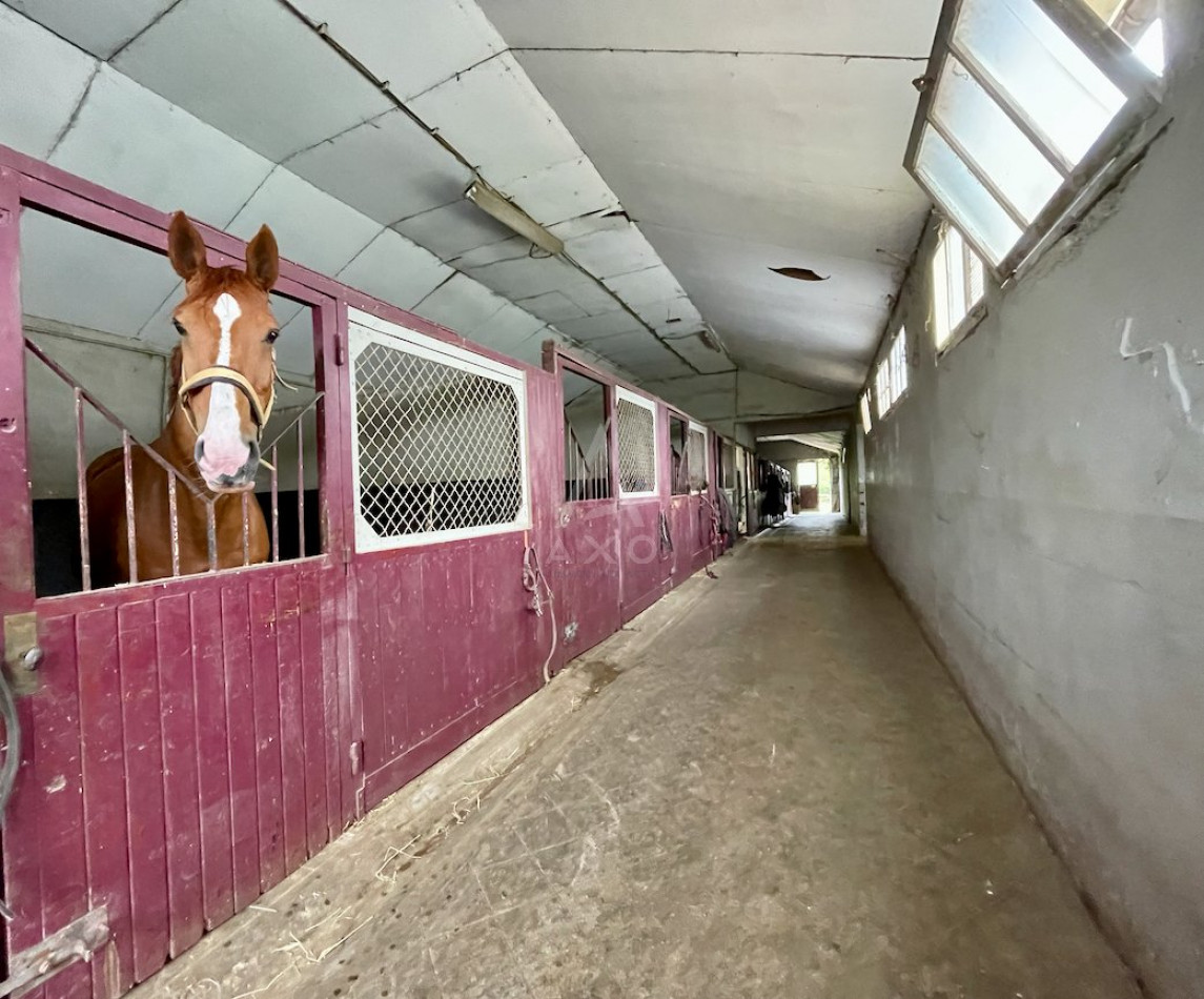 vente Haras / equestre Lisieux - Photo 12