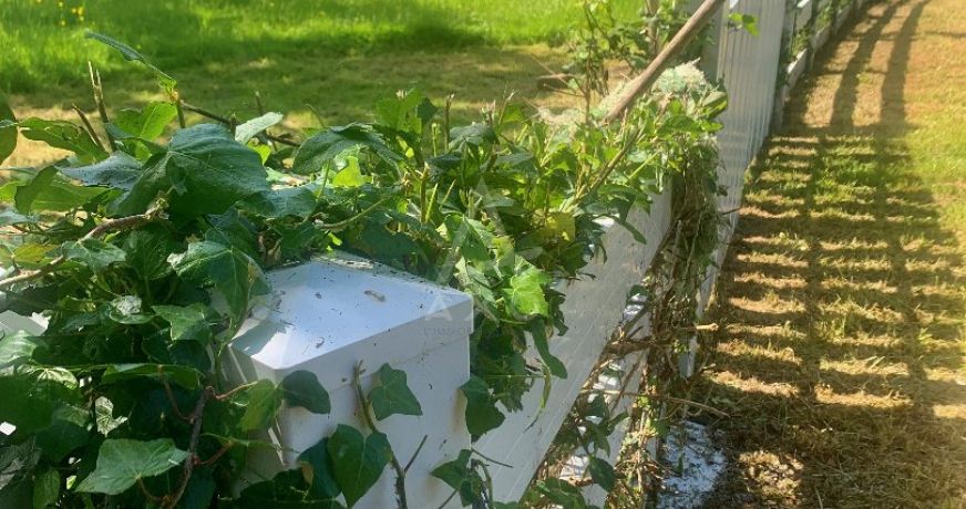 vente Manoir Yffiniac