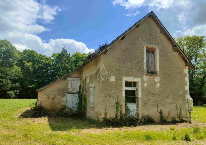 vente Domaine Bazouges Sur Le Loir