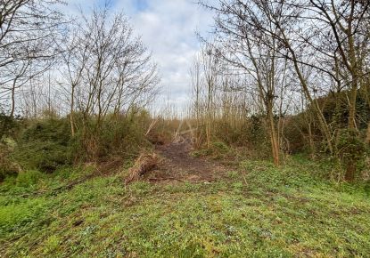 vente Terrain boisé – forêt Morannes