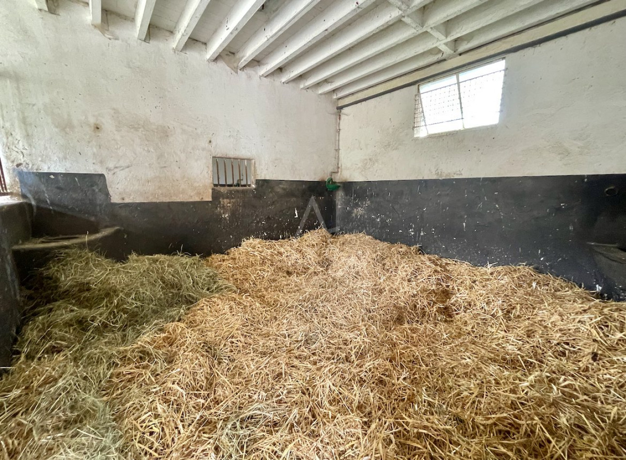 vente Haras / equestre Le Pin Au Haras - Photo 8