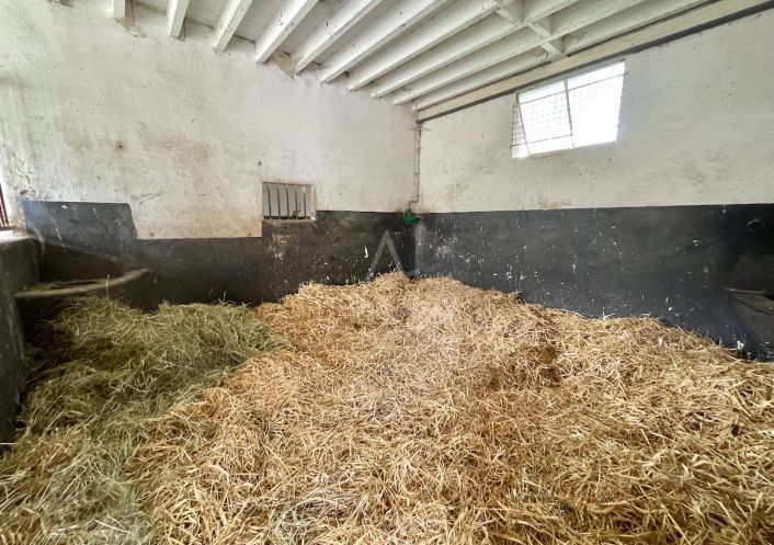 vente Haras / equestre Le Pin Au Haras