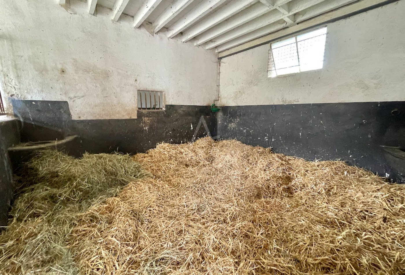 vente Haras / equestre Le Pin Au Haras - Photo 8