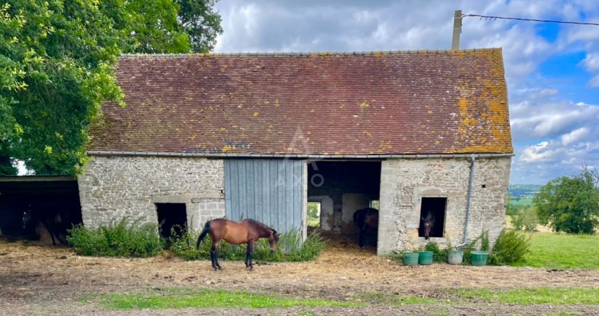 vente Haras / equestre Le Pin Au Haras