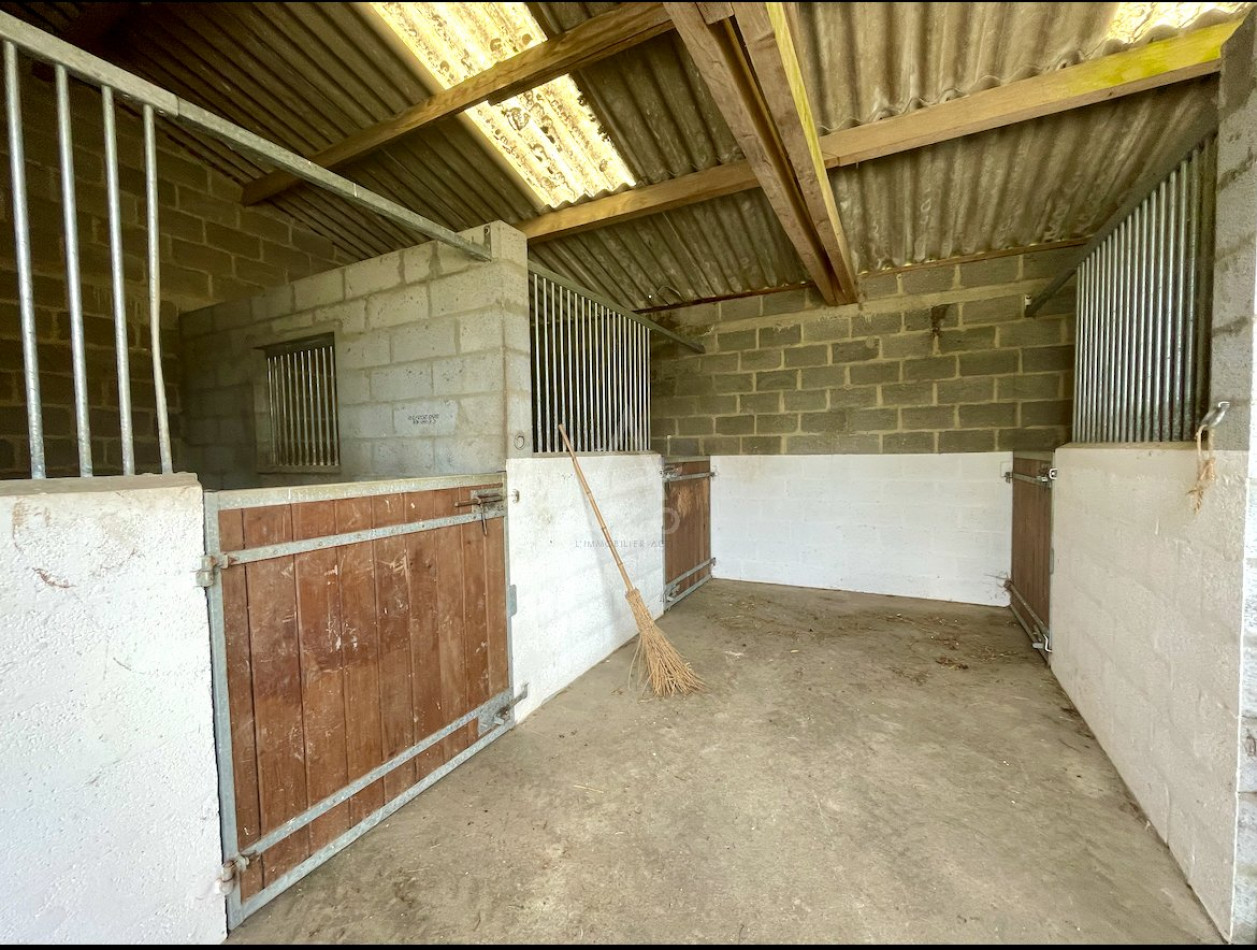 vente Haras / equestre Le Pin Au Haras - Photo 16
