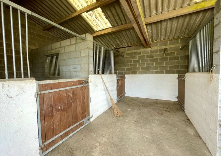 vente Haras / equestre Le Pin Au Haras