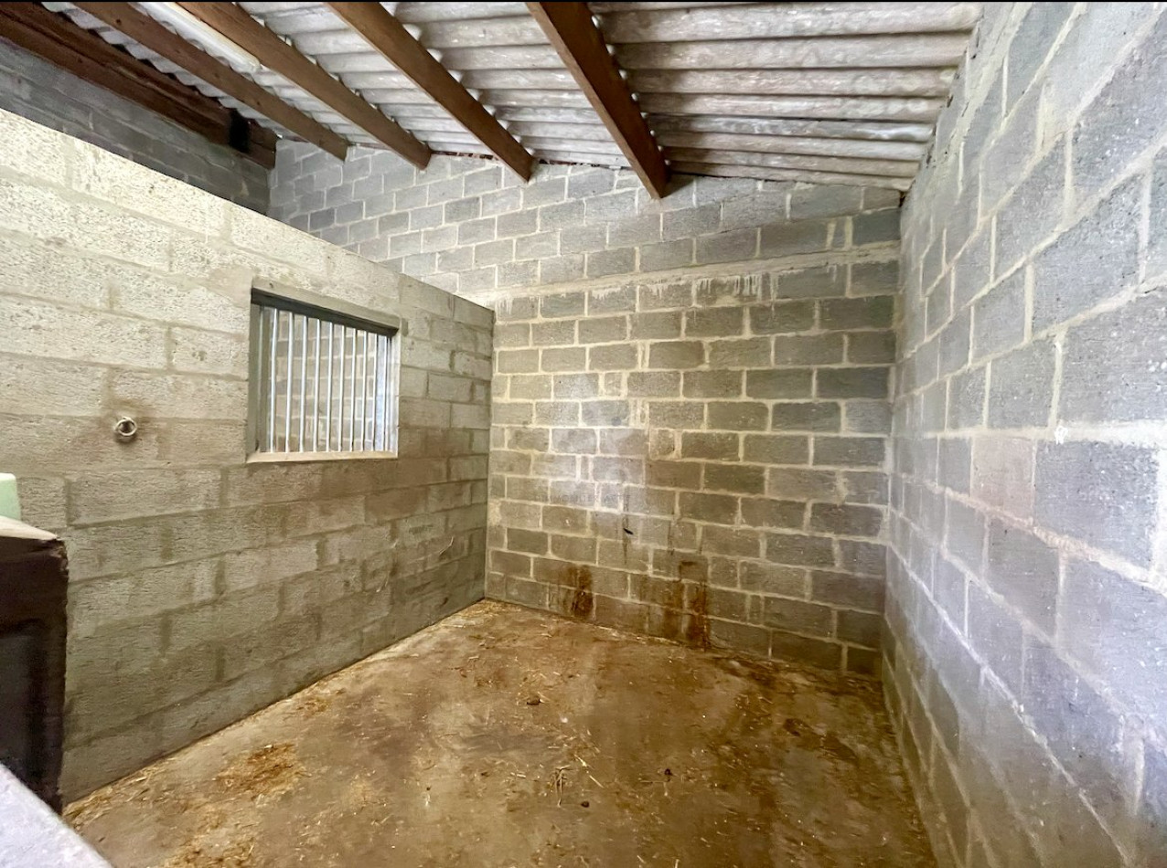 vente Haras / equestre Le Pin Au Haras - Photo 19