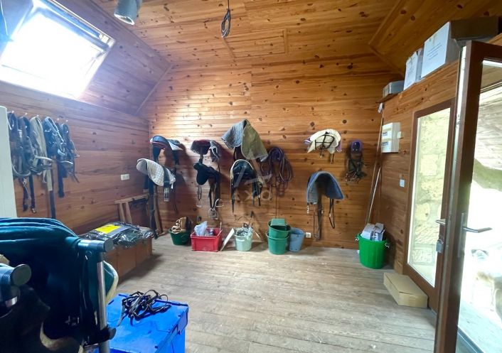vente Haras / equestre Le Pin Au Haras
