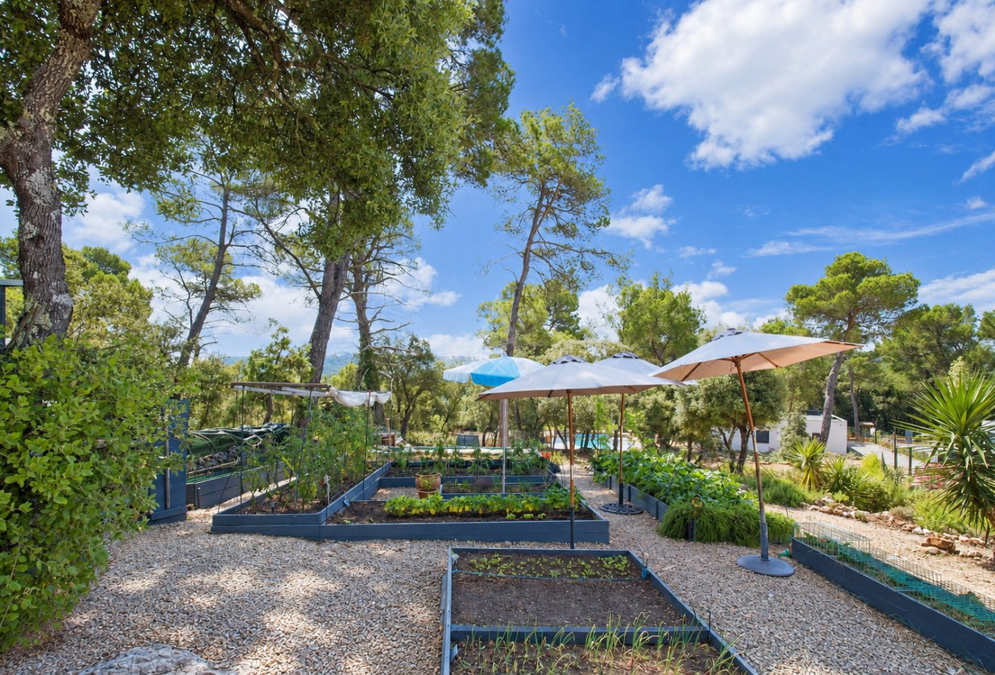 vente Maison Sillans La Cascade - Photo 10