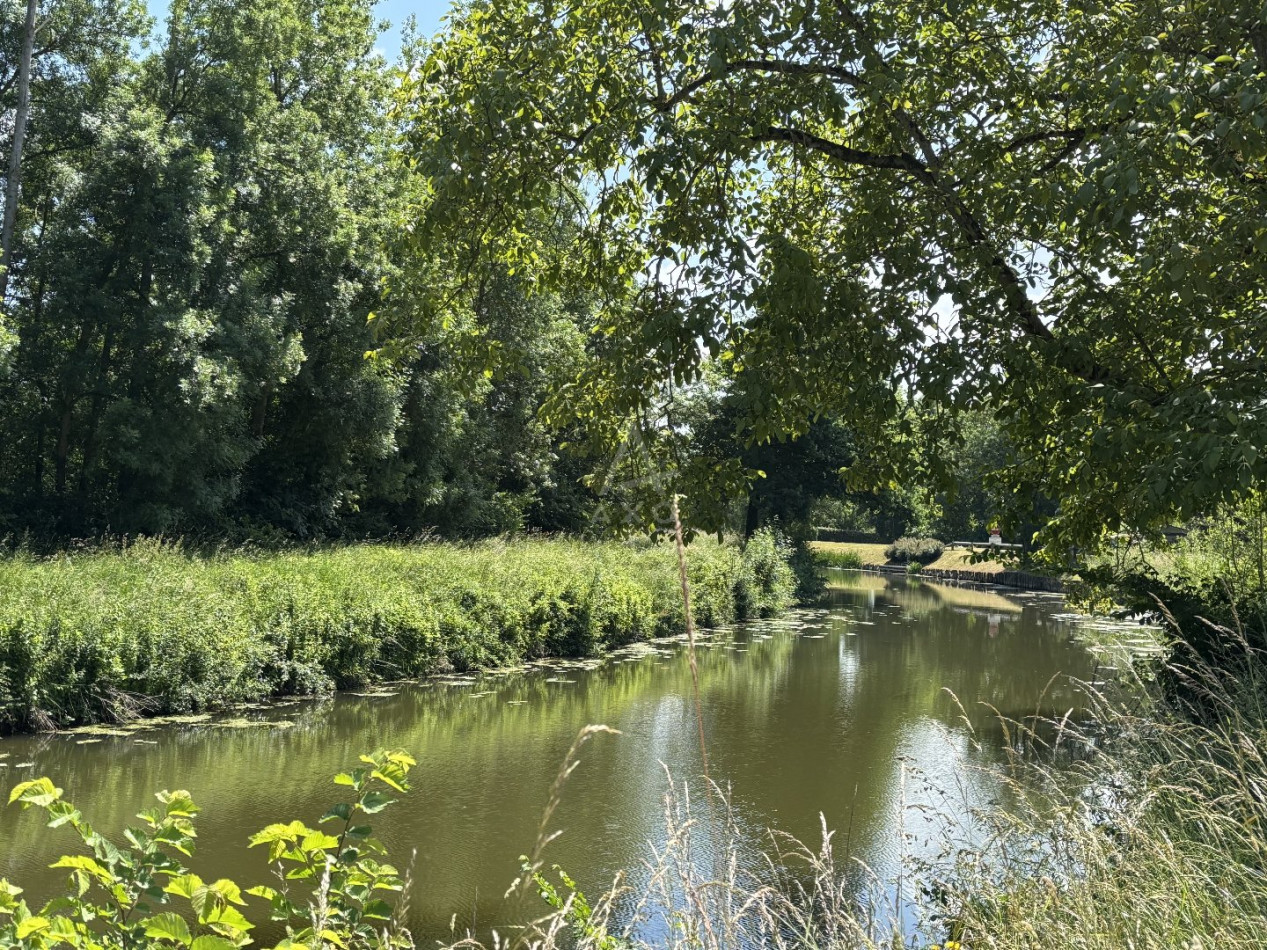 vente Maison de campagne Saint Denis D'anjou - Photo 4