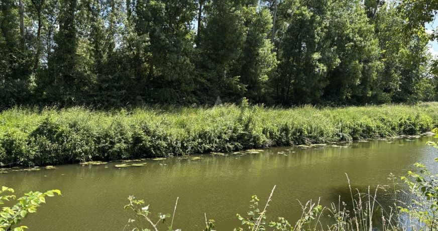 vente Maison de campagne Saint Denis D'anjou
