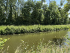 vente Maison de campagne Saint Denis D'anjou