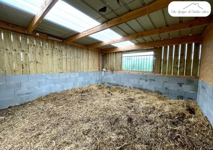 sale Haras / equestre Belleme