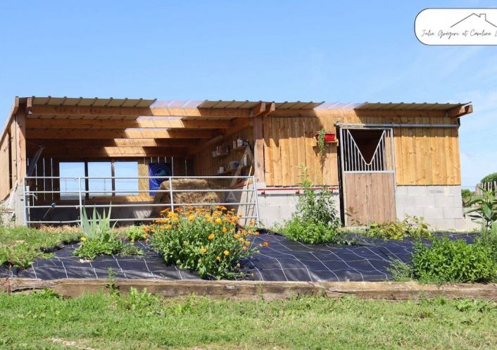 sale Haras / equestre Belleme