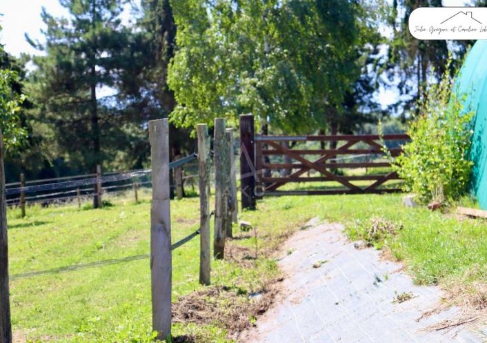 sale Haras / equestre Belleme