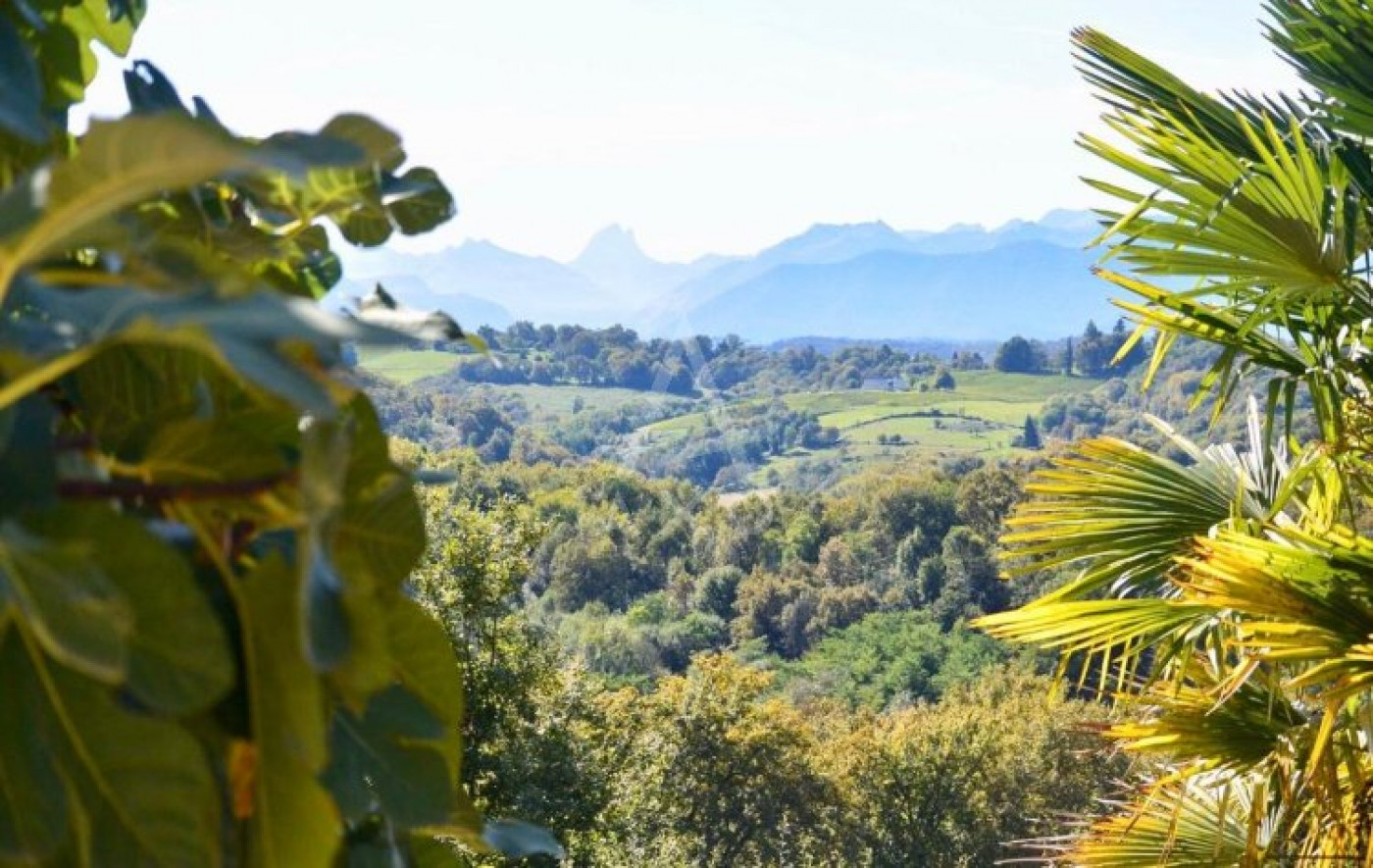 vente Maison Jurancon - Photo 14