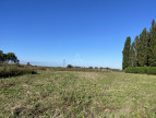 vente Terrain commercial Estaires