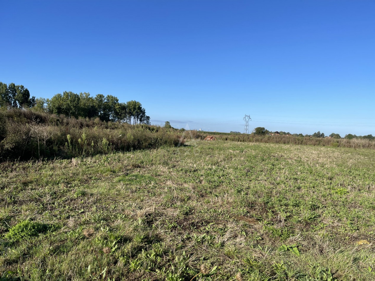 vente Terrain commercial Estaires - Photo 7