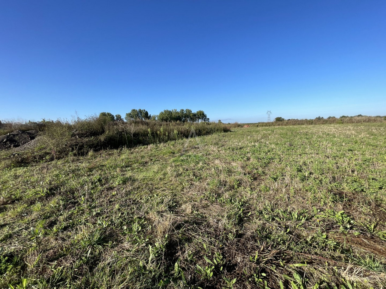 vente Terrain commercial Estaires - Photo 8