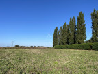 vente Terrain commercial Estaires
