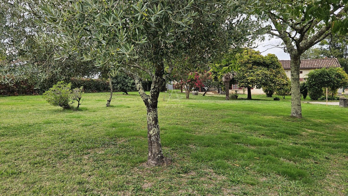 vente Maison Laruscade - Photo 4