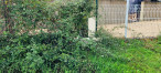 vente Terrain constructible Chemille