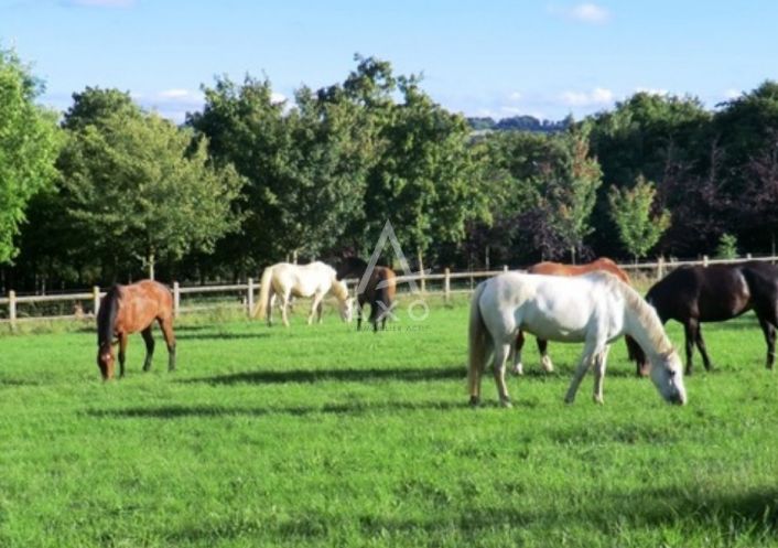 vente Haras / equestre Caen