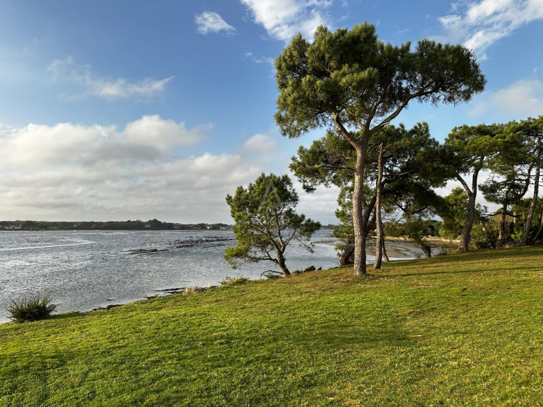 vente Maison Locoal Mendon - Photo 4