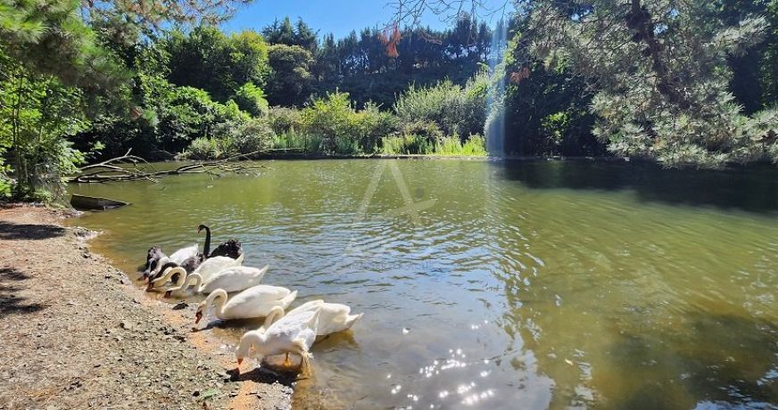 vente Maison Yffiniac