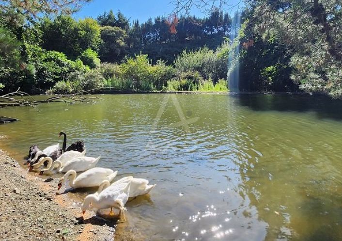 vente Maison Yffiniac