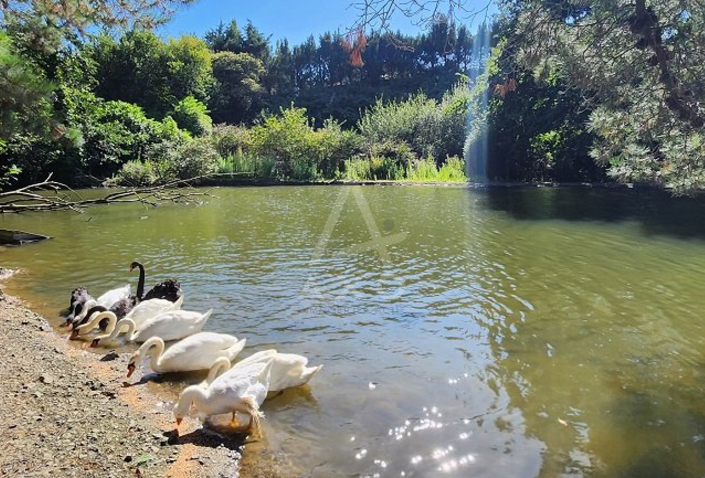 vente Maison Yffiniac - Photo 10