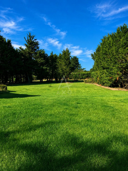 vente Maison Yffiniac - Photo 5