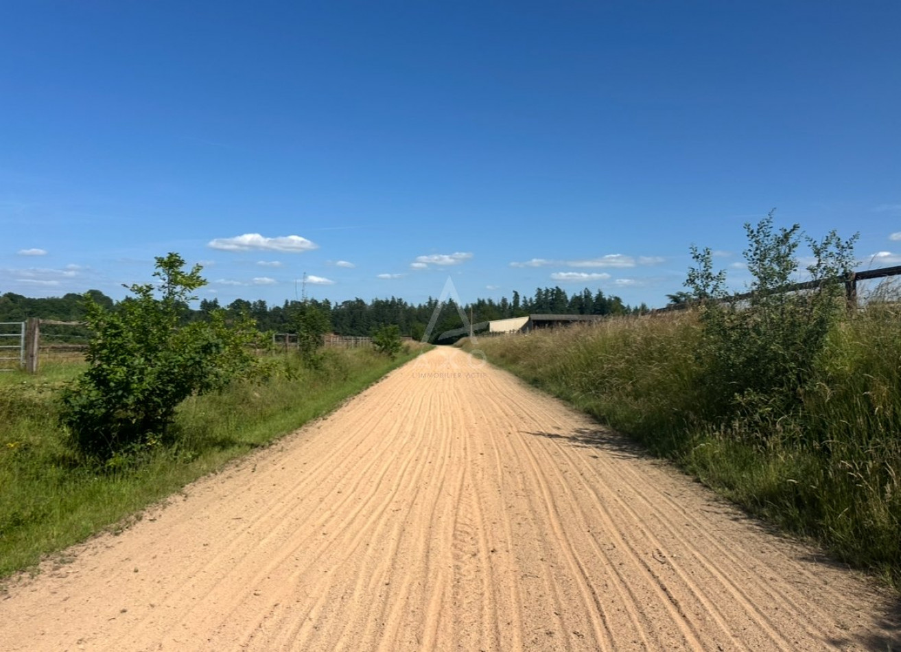 vente Haras / equestre Argentan - Photo 14