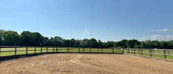 vente Haras / equestre Argentan