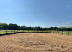 vente Haras / equestre Argentan