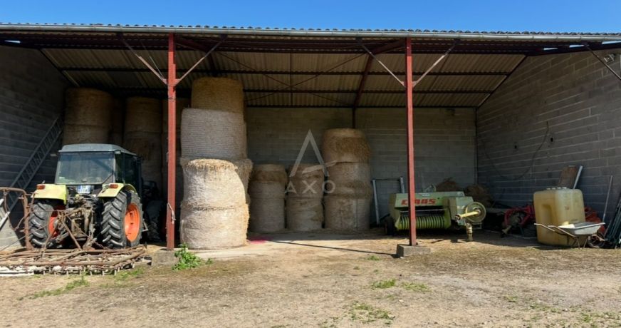 vente Haras / equestre Argentan