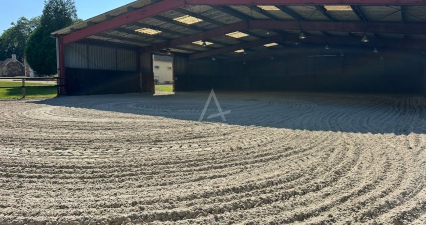 vente Haras / equestre Argentan