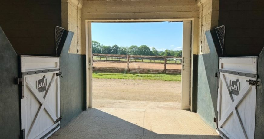 vente Haras / equestre Argentan