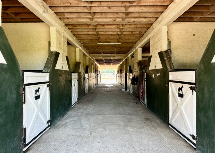 vente Haras / equestre Argentan - Photo 2